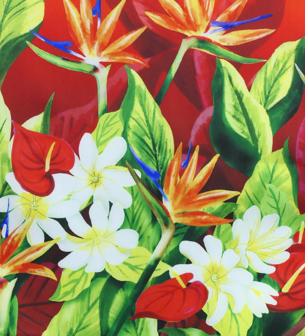 �ե���� ����󥿥� �ѥ��������� ���󥰥� �ϥ磻����ե����꡼�� J3255-1