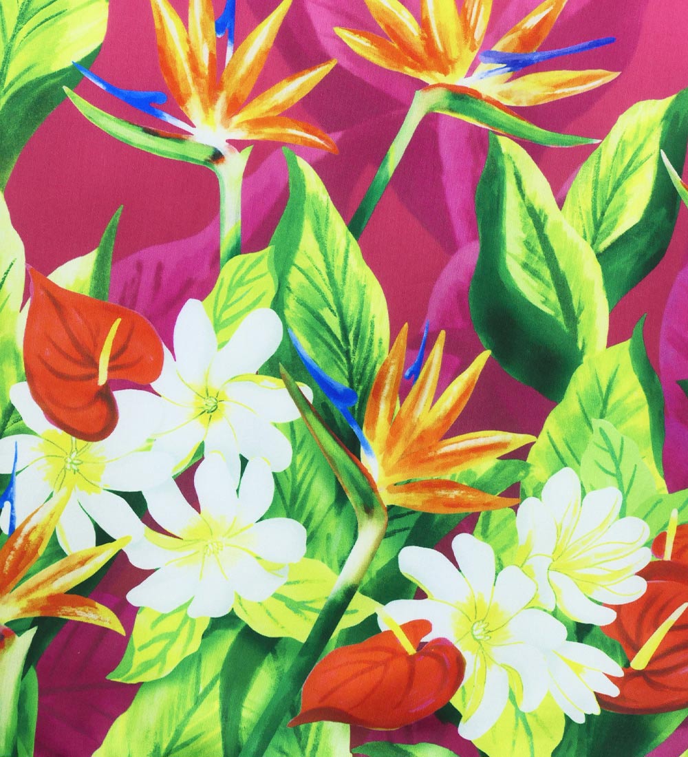 �ե���� ����󥿥� �ѥ��������� ���󥰥� �ϥ磻����ե����꡼�� J3255-2