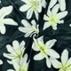 �ϥ磻�������� �ƥ�����&��󥹥ƥ��� ���٤����� �֥�å� KH-676-BK