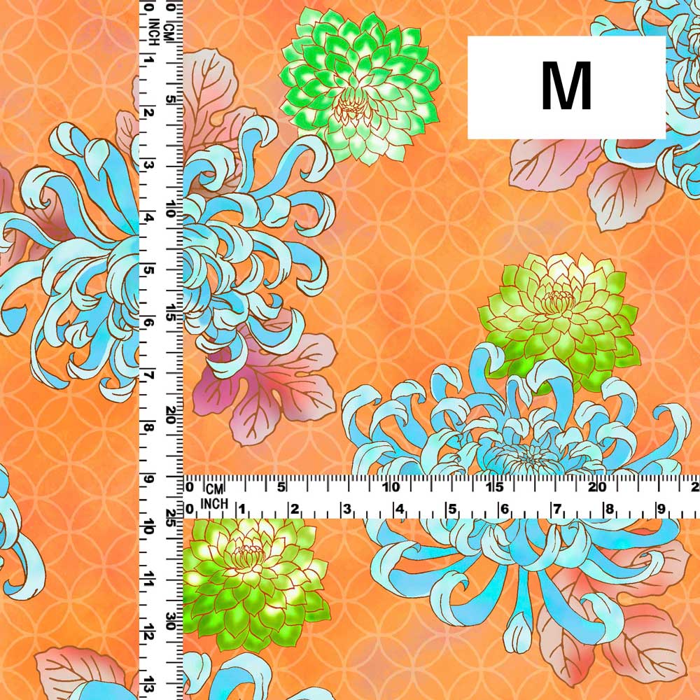 �������� ���� ���٤����� ����󥸡����� WA-009-OR