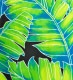 �ե���� �ѥ��������� ���󥰥�73cm�� �֥�å� 2609