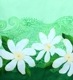 �ե���� ���٤�ȥåץ����ѥ��������� �ƥ�����ߥ��ҥ� ���꡼�� J3097gr