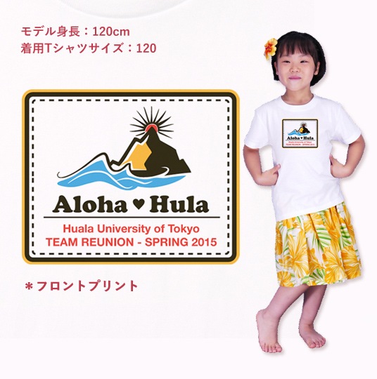 ������ ̾����T����� �ۥ磻�� NTK003