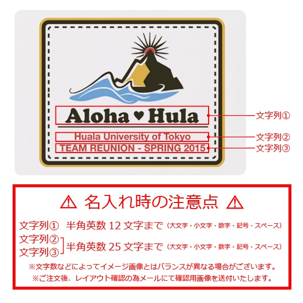 ������ ̾����T����� �ۥ磻�� NTK003