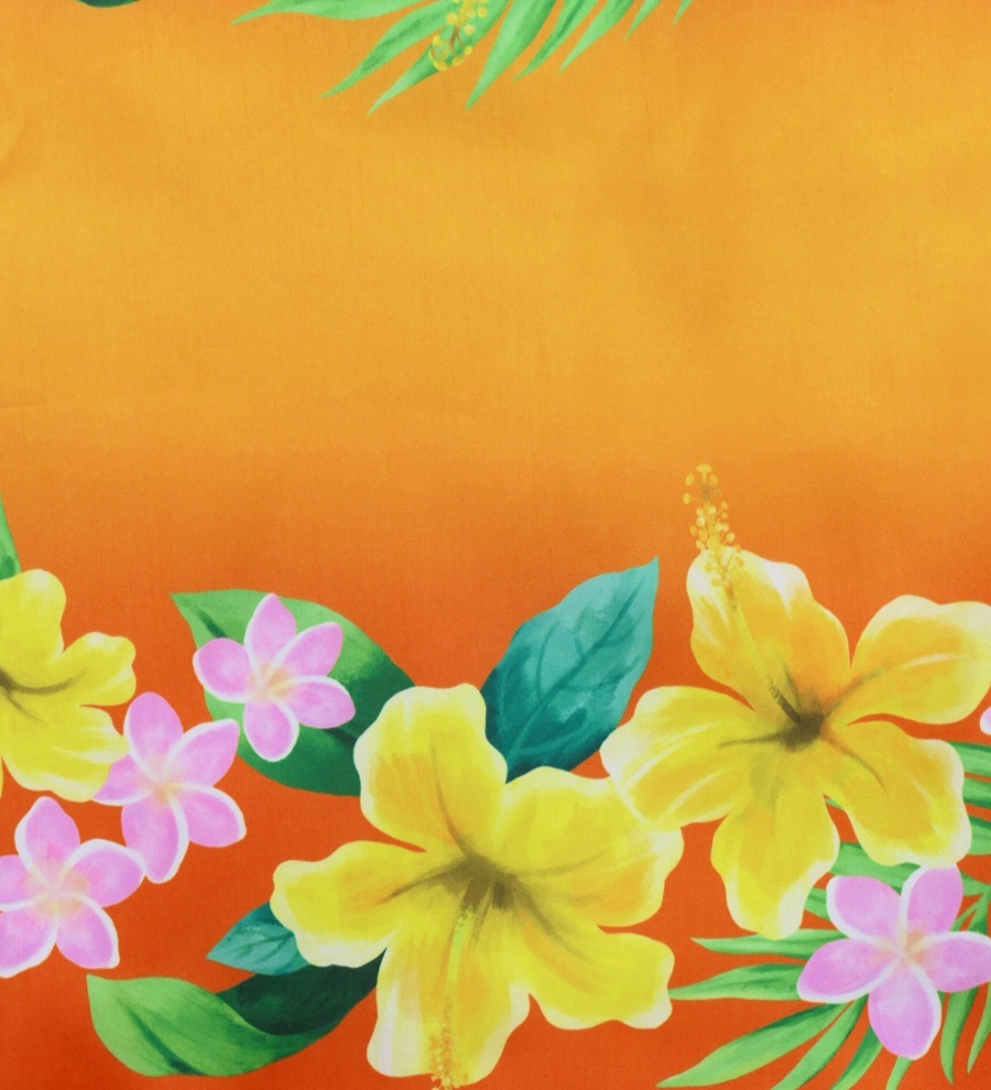 �ե���� ����󥿥� �ѥ��������� ���󥰥� �ϥ��ӥ��������ץ��ꥢ ����� J3039or