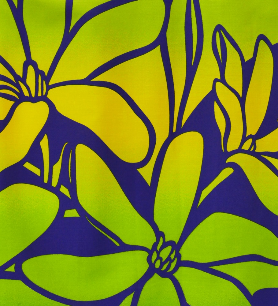 �ե���� �ѥ��������� ���󥰥�73cm�� �֥롼�ߥ��꡼�� 2621