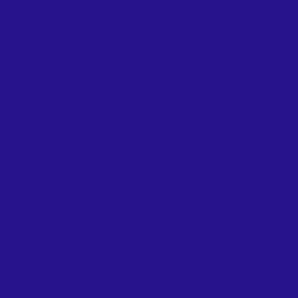 �ե���� ����󥿥� �ѥ��������� ���󥰥� �������֥롼 J3177rbl