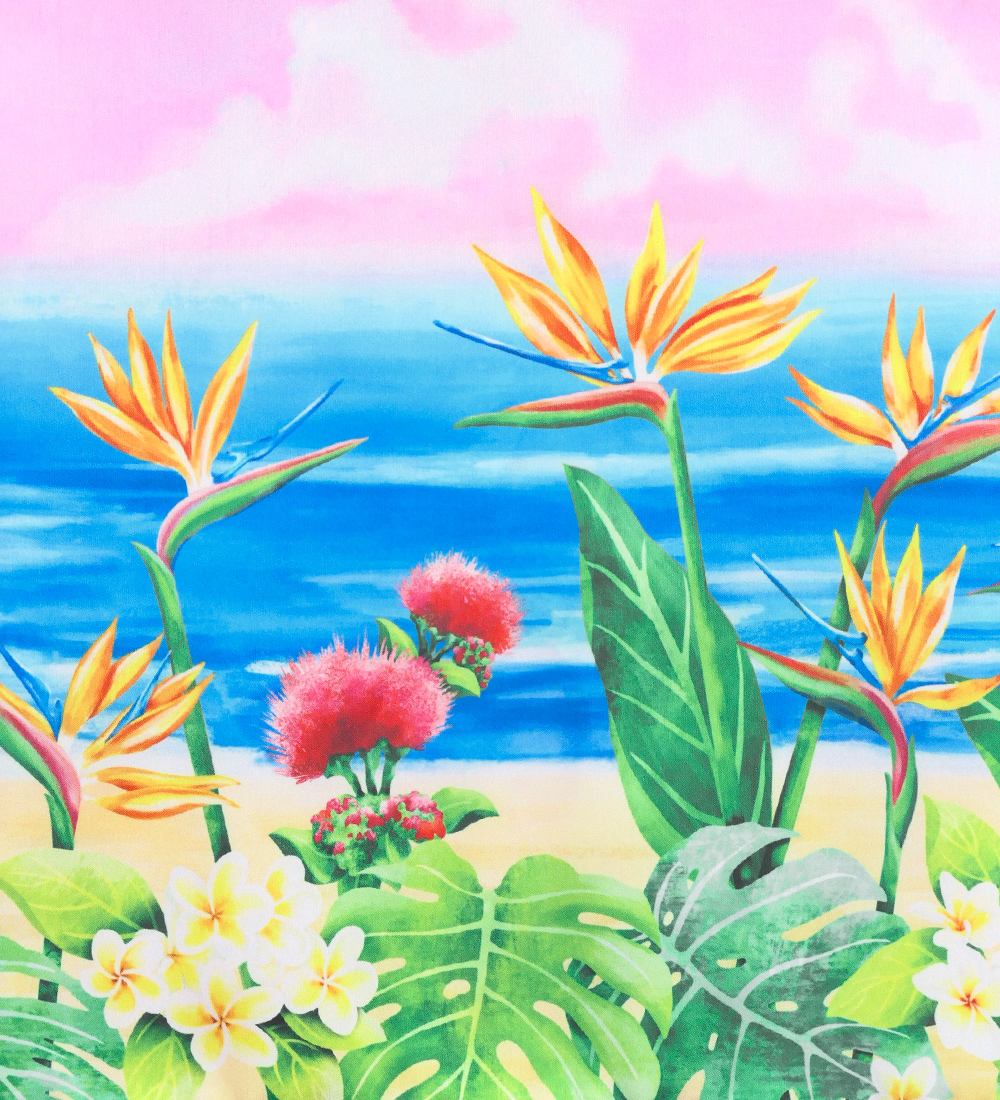 �ե���� ���֥�ѥ���������&���塼�֥ȥå� ���å� �ϥ磻����ե����� J3196-2