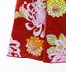 �����ɥ쥹 ���󥰾� ��󥷥����� �ե�륹�꡼�� �ޡ��ᥤ�� �� ��åɡ��֡� S-L������ JW005rd