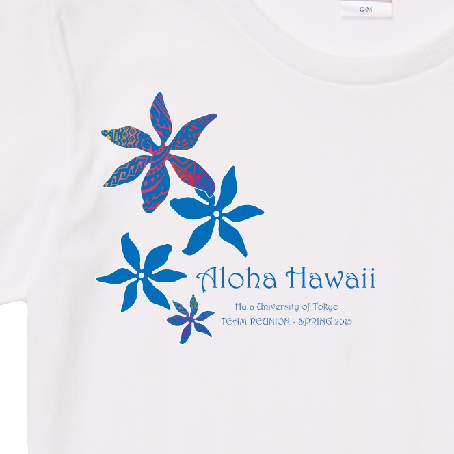 ������ ̾����T����� �ۥ磻�� NTK012