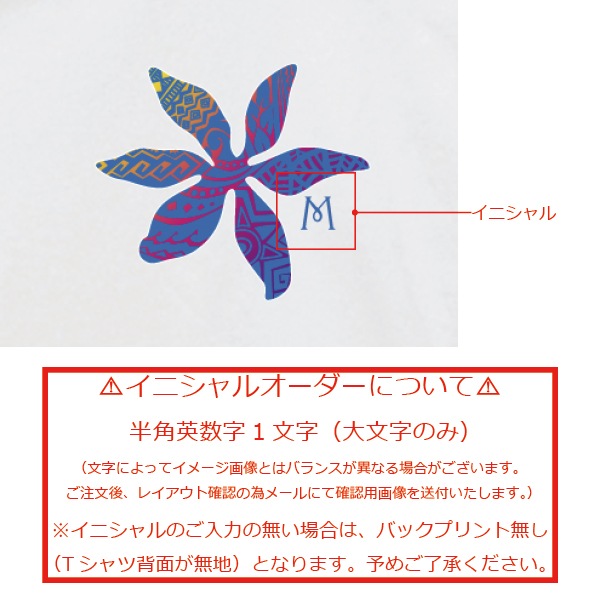 ������ ̾����T����� �ۥ磻�� NTK012