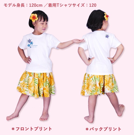 ������ ̾����T����� �ۥ磻�� NTK012