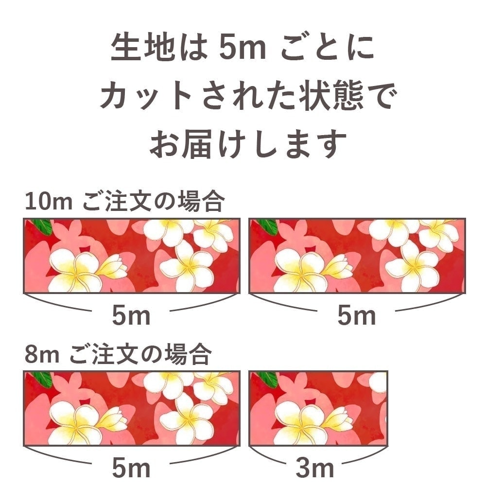 �ե������� �����߿���� ���٤����� �֥롼�ߥۥ磻�� KF-185-BLWH