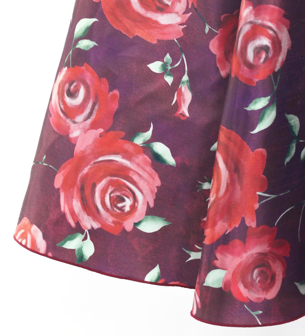 F������ �ե��� ���󥰥�������顼�������� ��ܥ��դ� ������ �磻�� FS-60