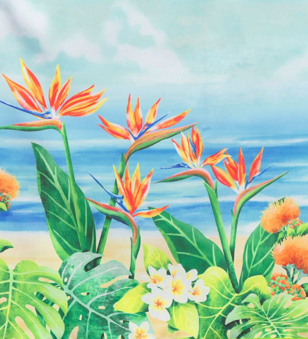 �ե���� ���֥�ѥ���������&���塼�֥ȥå� ���å� �ϥ磻����ե����� J3196-6