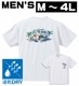 ��󥺡��ϥ磻���� �ɥ饤T����ġ�pmt003
