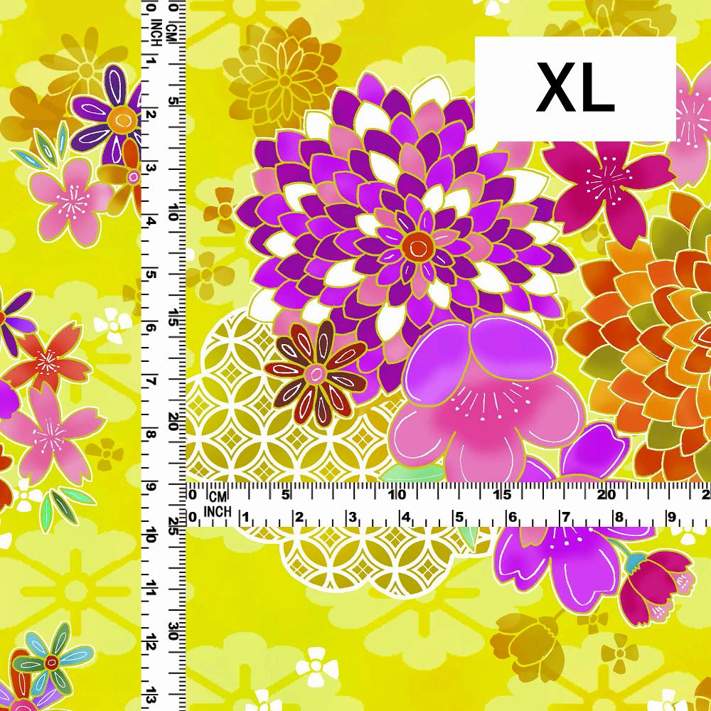  ơߡ ٤ ʲ WA-005-YE