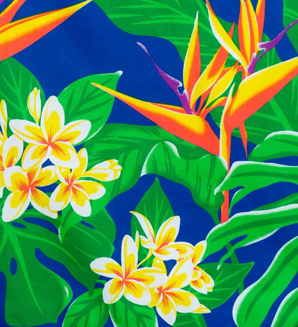 �ե���� �ѥ��������� ���󥰥�73cm�� �֥롼 3131