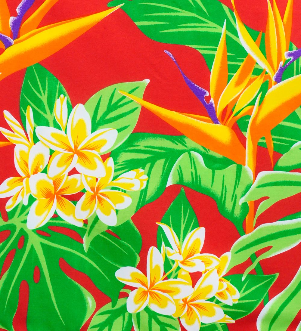 �ե���� �ѥ��������� ���󥰥�73cm�� ��å� 3135