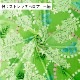 �ϥ磻�������� ��������� ���٤����� ���꡼�� KH-580-GR