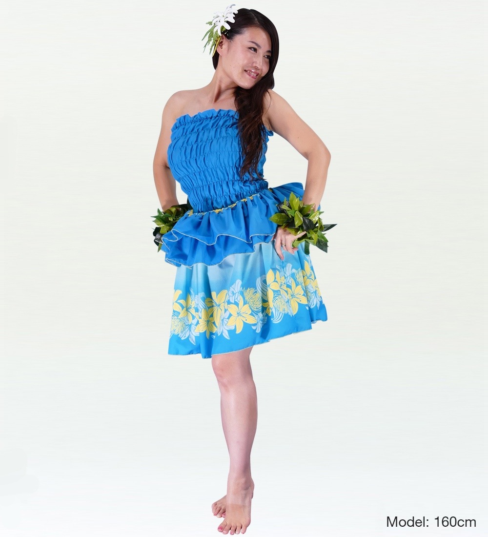 ���ҥ����� �������� 45cm�� �֥롼 1858