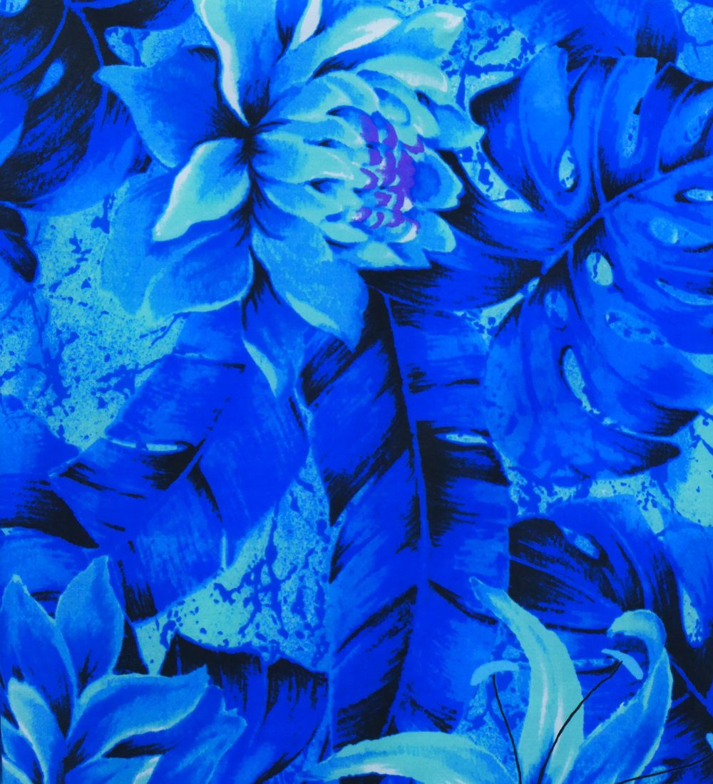 �ե���� �ѥ��������� ���󥰥�73cm�� �Х����顼 �֥롼 2634