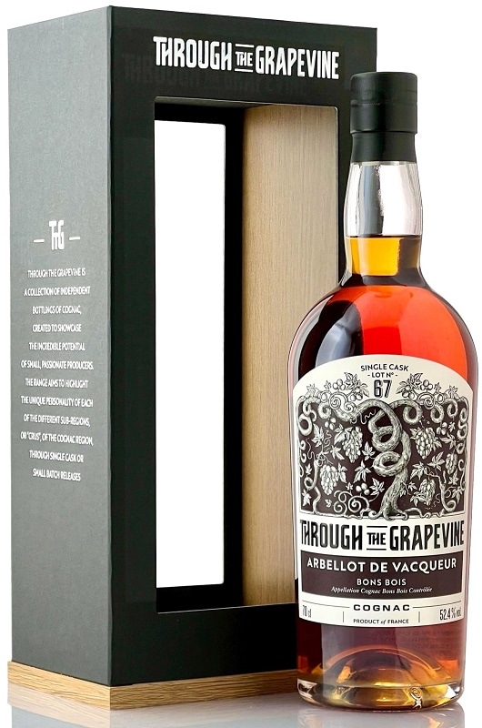 アルベロドヴァクール　ボンボア　Lot67　FOR LMDW　【THROUGH THE GRAPEVINE】