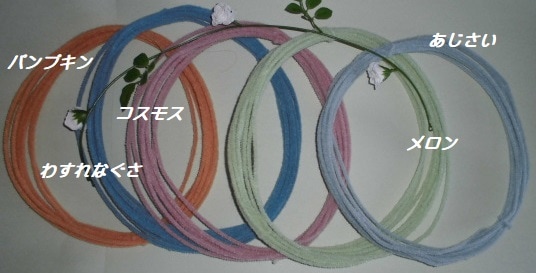 �ƥǥ��٥��⡼��ʥ���ƥ������ˡ�������