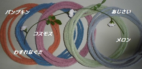 �ƥǥ��٥��⡼��ʥ���ƥ������ˡ�������