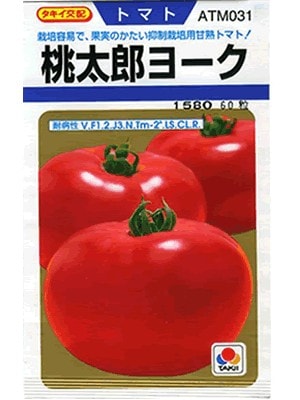 野菜種 果菜類,トマト | GREEN DEPO[ グリーンデポ ]