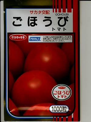 直売店用 オススメのタネ,トマト | GREEN DEPO[ グリーンデポ ]