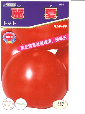 トマト種 サカタ交配 王様トマト麗夏 サカタのタネ大玉トマト品種です