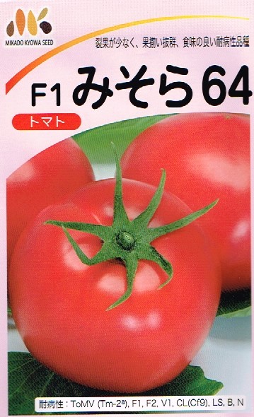トマト F1みそら64 みかど協和の大玉トマト種です。 | GREEN DEPO