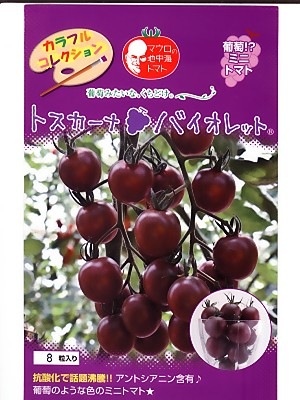 野菜種 果菜類,トマト,中玉トマト | GREEN DEPO[ グリーンデポ ]