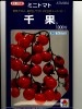 トマト　タキイ交配　　千果　　　　タキイ種苗のミニトマト種です。