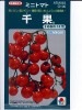 トマト　タキイ交配　　千果　　 タキイ種苗のミニトマト種です。