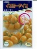 ミニトマト種　サカタ交配　　イエローアイコ　　サカタのタネのミニトマト種です。