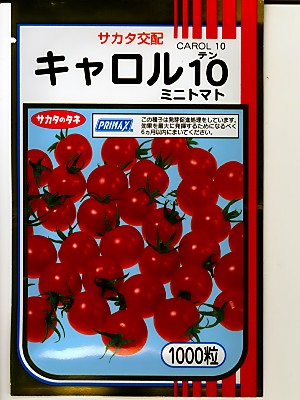 トマト サカタ交配 キャロル10 サカタのタネのミニトマト種です