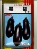 ナス　サカタ交配　　黒福　 　サカタのタネの長卵形ナス種です。