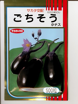 野菜種 果菜類,ナス | GREEN DEPO[ グリーンデポ ]