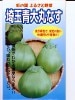 ナス種　埼玉青大丸なす　　地方野菜のなすの品種です。　