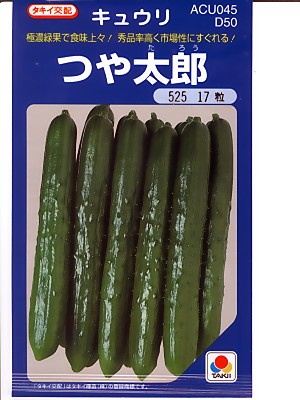 野菜種 果菜類,キュウリ | GREEN DEPO[ グリーンデポ ]