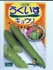 キュウリ種　ときわ交配　うぐいすキュウリ　　ときわ研究所のキュウリ品種です。