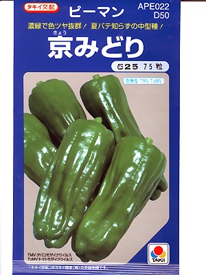 直売店用 オススメのタネ,ピーマン | GREEN DEPO[ グリーンデポ ]