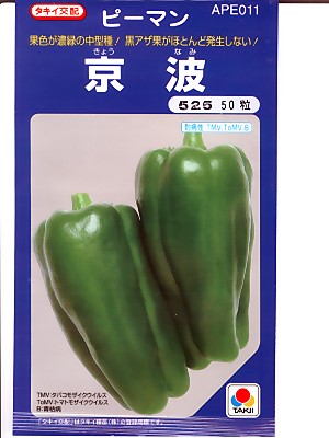 ピーマン種 タキイ交配 京波 タキイ種苗のピーマン品種です Green Depo グリーンデポ