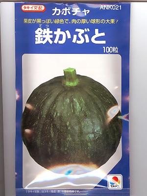 カボチャ種 タキイ交配 鉄かぶと タキイ種苗のカボチャ品種です Green Depo グリーンデポ カボチャ種 タキイ交配 鉄かぶと タキイ種苗のカボチャ品種です Green Depo グリーンデポ
