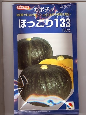 カボチャ種 タキイ交配 ほっこり133 タキイ種苗の大玉カボチャ品種です Green Depo グリーンデポ カボチャ種 タキイ交配 ほっこり133 タキイ種苗の大玉カボチャ品種です Green Depo グリーンデポ