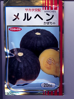 カボチャ サカタ交配 メルヘン サカタのタネのカボチャの種です Green Depo グリーンデポ