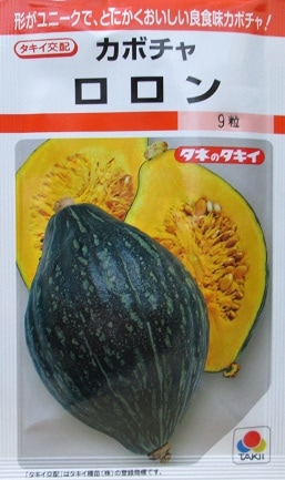 タキイ交配 ロロンカボチャ タキイ種苗のカボチャ品種です Green Depo グリーンデポ タキイ交配 ロロンカボチャ タキイ種苗のカボチャ品種です Green Depo グリーンデポ