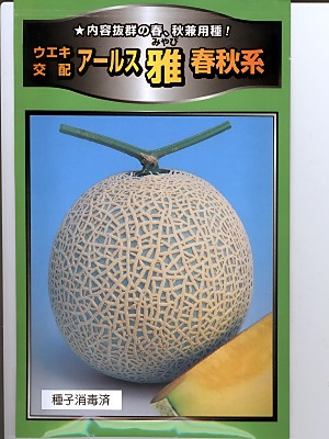 野菜種 果菜類,メロン,ネットメロン | GREEN DEPO[ グリーンデポ ]